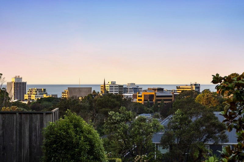 0 Carrington Street, Lower Vogeltown, New Plymouth - Carousel 2