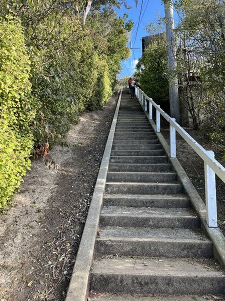 61 Ravenswood Road, Saint Clair, Dunedin - Carousel 12