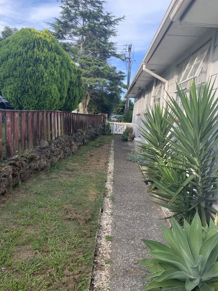 81 Sycamore Drive, Sunnynook, Auckland - Carousel 11