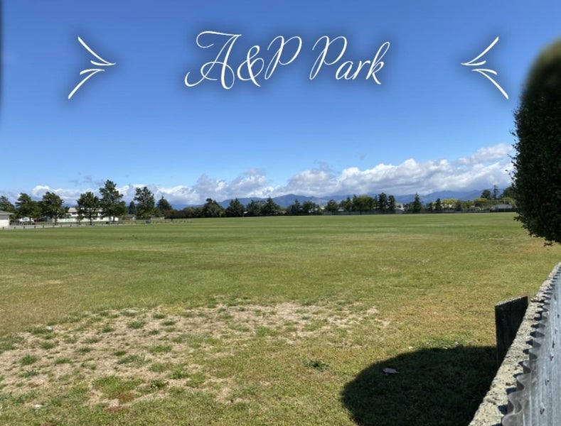 1/60 Howick Road, Redwoodtown, BLENHEIM - Carousel 12