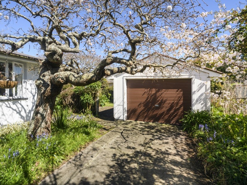1 Antrim Place, Hokowhitu, Palmerston North - Carousel 15