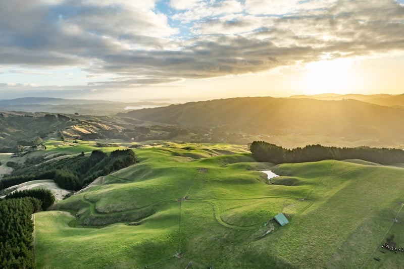 492 Moonshine Hill Road, Moonshine Valley - Carousel 32