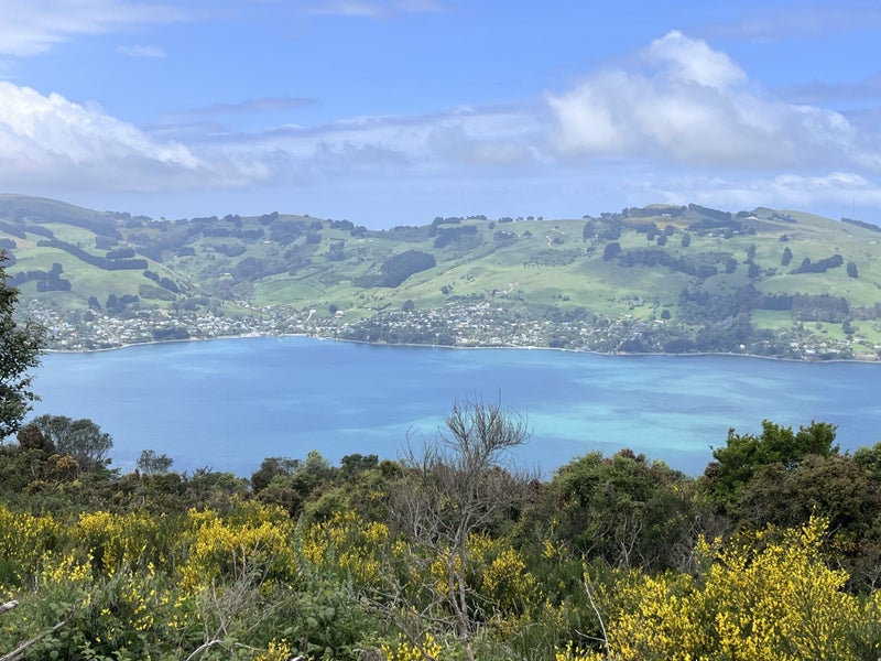 249 Signal Hill Road, Saint Leonards, Dunedin - Carousel 2