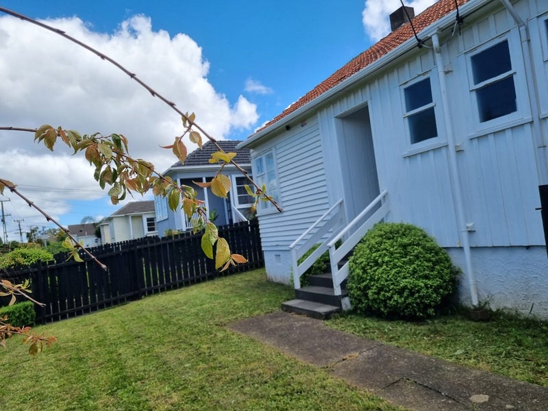 236 Mount Smart Road, Onehunga, Auckland - Carousel 13