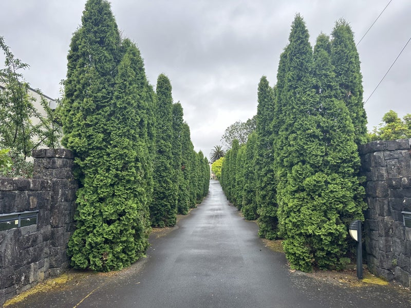 57C Epsom Avenue, Epsom, Auckland - Carousel 10