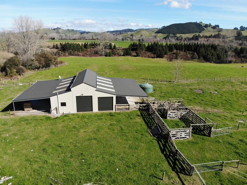 850 Te Kopia Road, WAIKITE VALLEY - Carousel 2