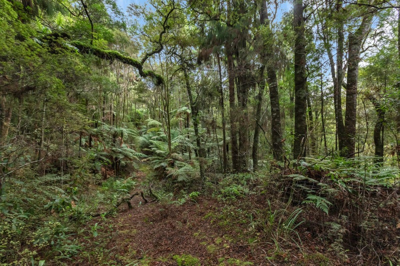 255 Pigs Head Road, Whakapara, Hikurangi - Carousel 2