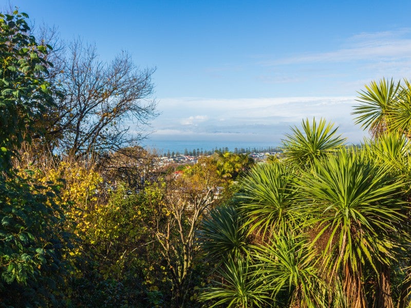 11A Randall Place, Hospital Hill, Napier - Carousel 1