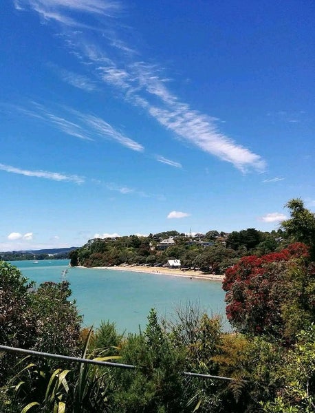 85 Litten Road, Cockle Bay, Auckland - Carousel 14