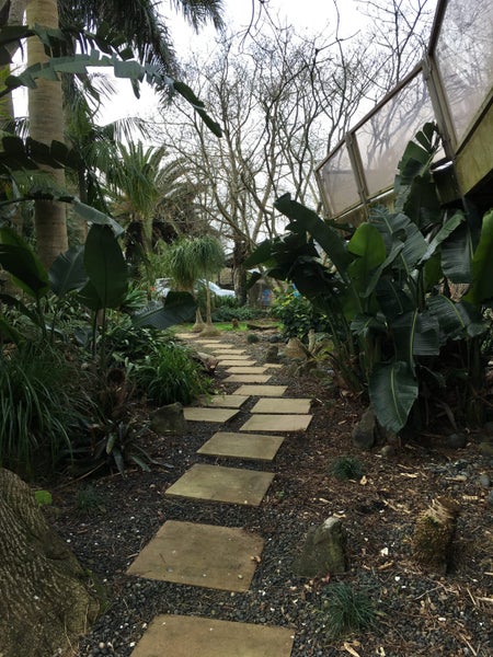 276 Clarks Beach Road, Pukekohe - Carousel 2