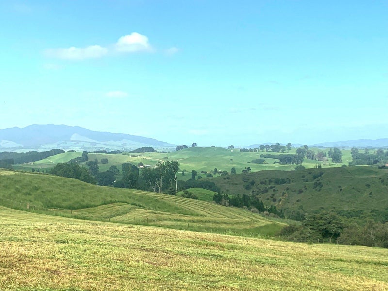 261 Paparamu Road, Piarere, Tīrau - Carousel 6