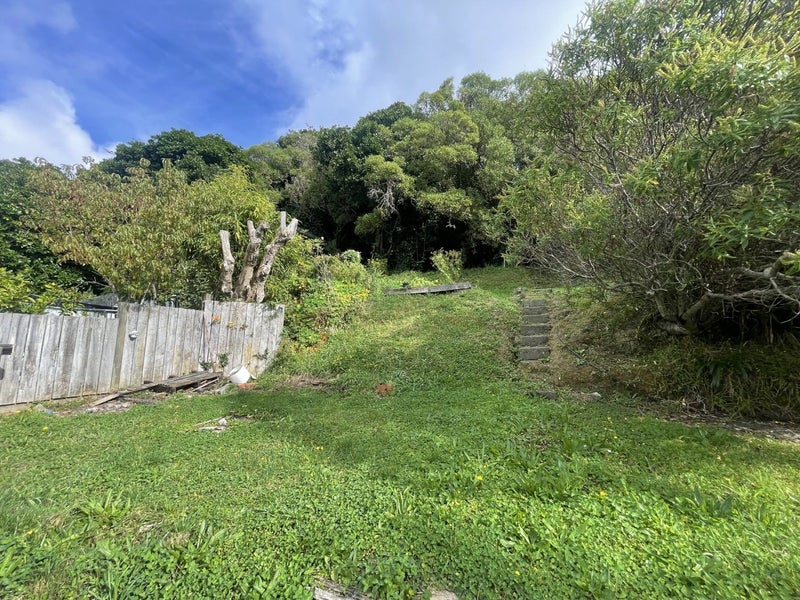 60A Rakau Road, Hataitai, Wellington - Carousel 15