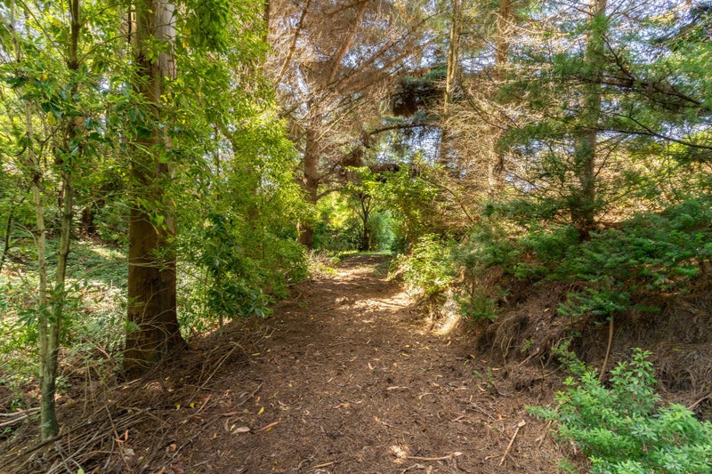 8 Roy Crescent, Concord, Dunedin - Carousel 24