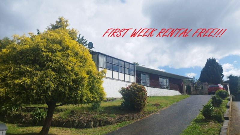 32 Sunnyhills Avenue, Glenview, Hamilton - Carousel 1