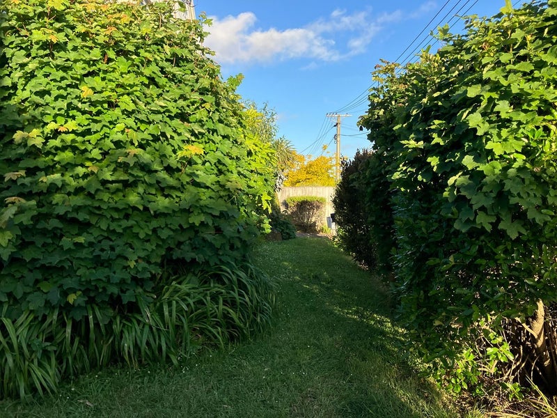 1/11 Boon Street, Sydenham, Christchurch - Carousel 11