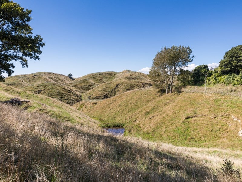 627A Ridge Road, Pohangina, Ashhurst - Carousel 20