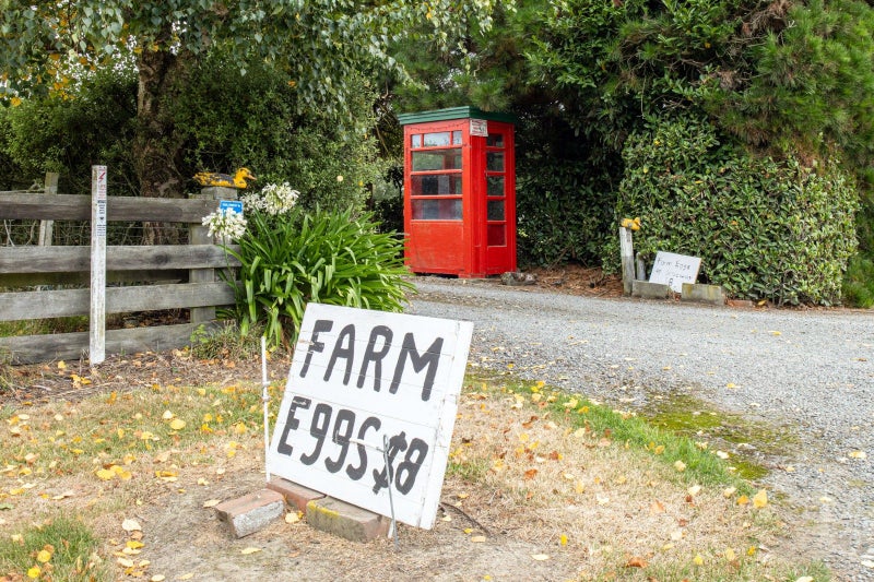 9 Mitcham Road, Allenton, Ashburton - Carousel 27