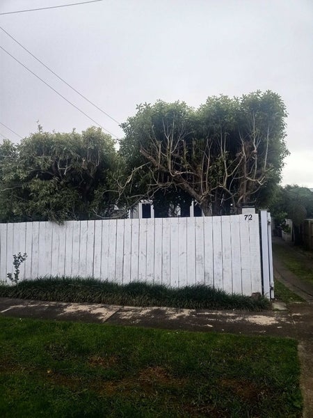 72 Galway Street, Onehunga, Auckland - Carousel 32