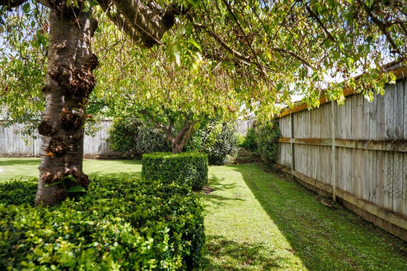 143 Oxford Street, Ashhurst, Ashhurst - Carousel 15