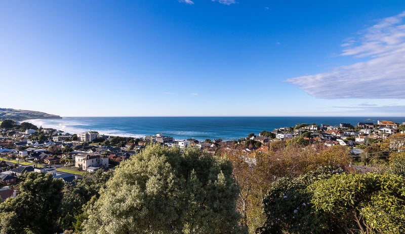 46B Norfolk Street, Saint Clair, Dunedin - Carousel 2
