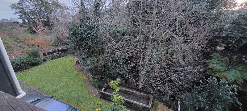 17B Morrison Crescent, Glenview, Hamilton - Carousel 11