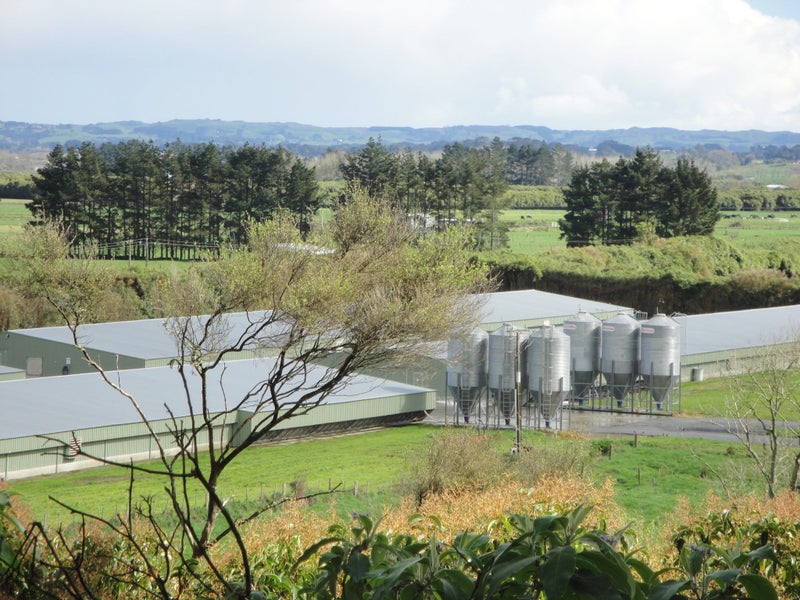 29A Arrowville Road, Aka Aka - Carousel 12