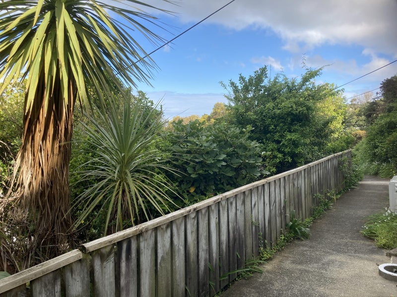 93 Balfour Street, Mornington, Wellington - Carousel 7