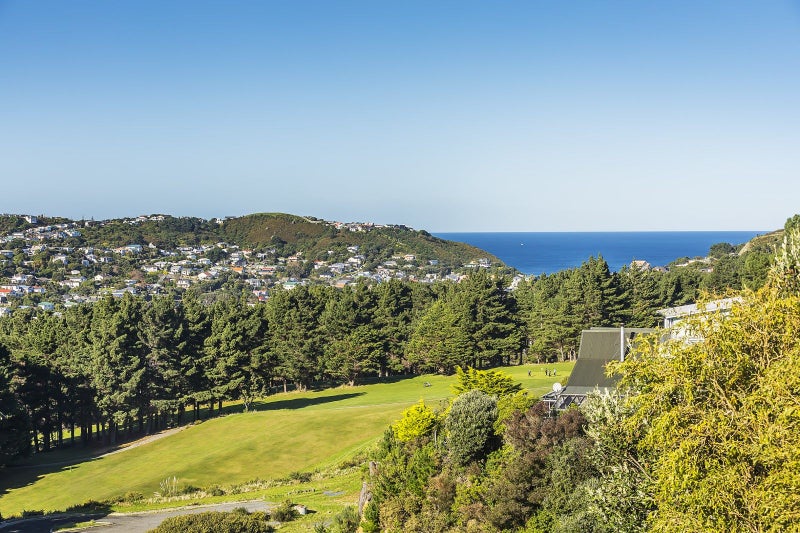 33 Priscilla Crescent, Kingston, Wellington - Carousel 2