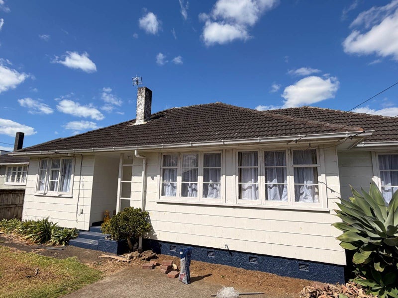 20 Ropata Avenue, Point England, Auckland - Carousel 1
