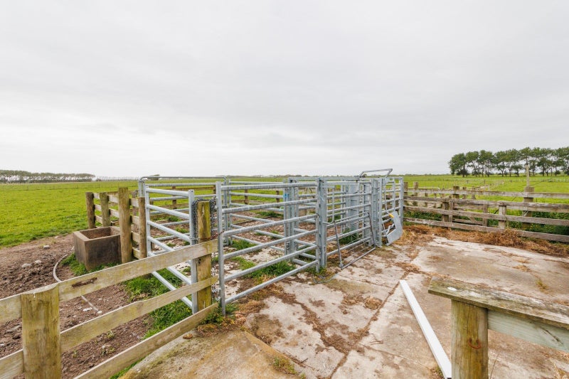 57 Duncan Road, Palmerston North - Carousel 42