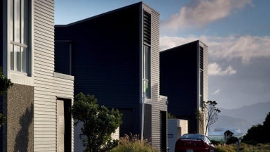 18 Boardwalk Lane, Seatoun, Wellington - Carousel 1