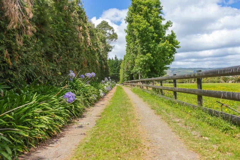 22 Hillcrest Road, Palmerston North - Carousel 24