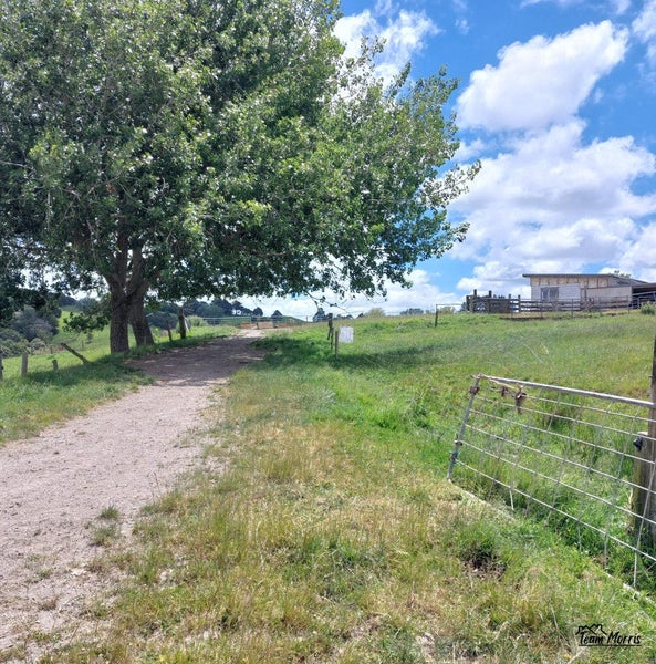 7 Franklin Road, Paparoa - Carousel 1