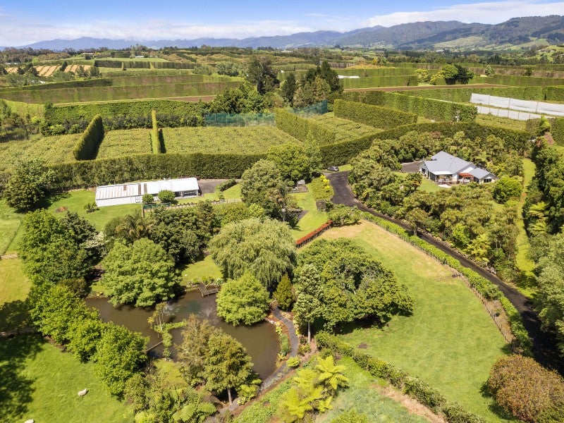 24 Tuapiro Road, Katikati - Carousel 2