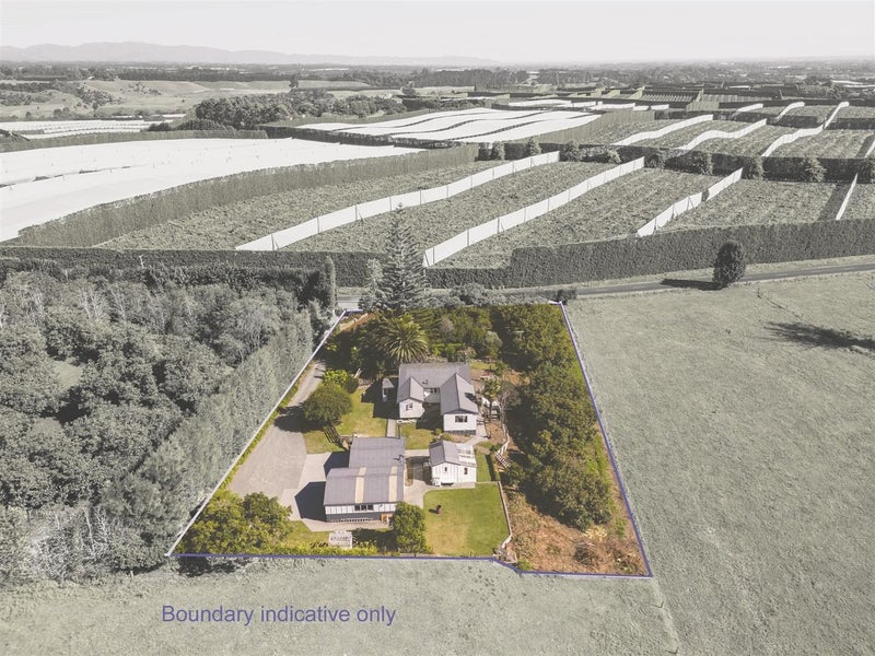 107 Roydon Downs Road, Te Puke - Carousel 2