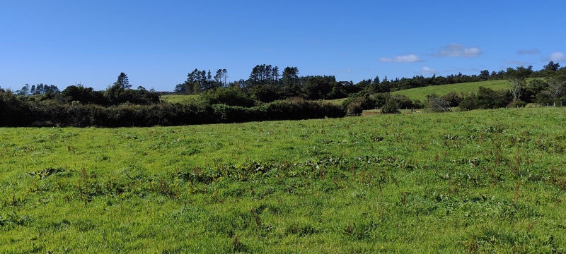 5 Egmont Road, Waiwhakaiho, New Plymouth - Carousel 13