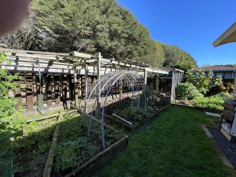 325 Hukanui Road, Queenwood, Hamilton - Carousel 20