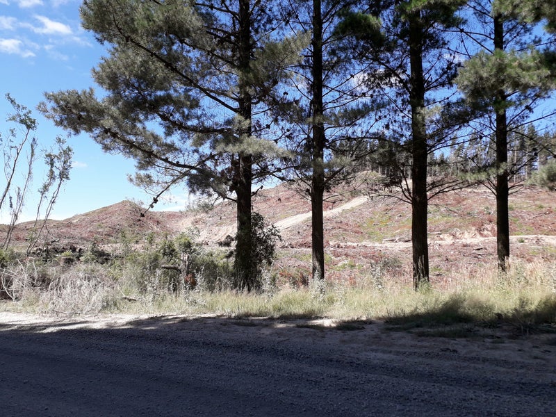 0 Ngahape Road, Otorohanga - Carousel 13