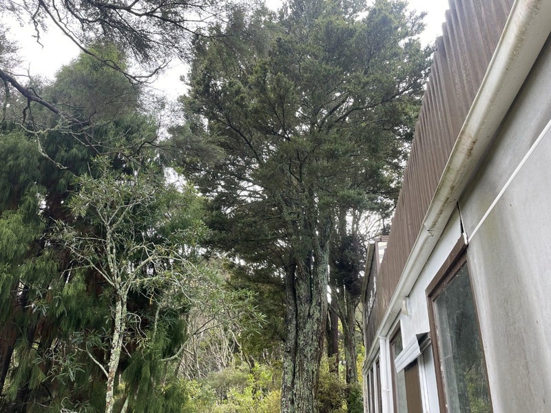 55 Park Hill Road, Birkenhead, Auckland - Carousel 16