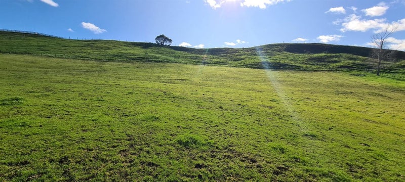 8G Hinckley Road, Whakamārama - Carousel 2