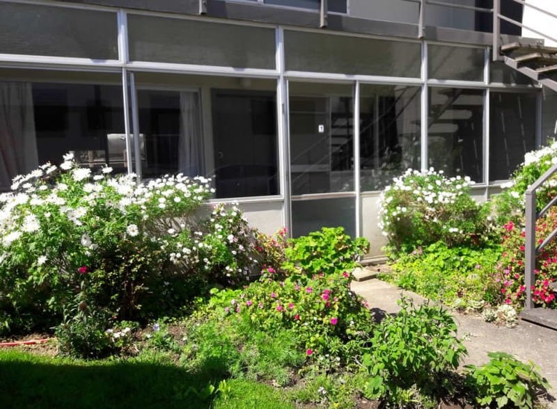 37 McLean Street, Tauranga, Tauranga - Carousel 1
