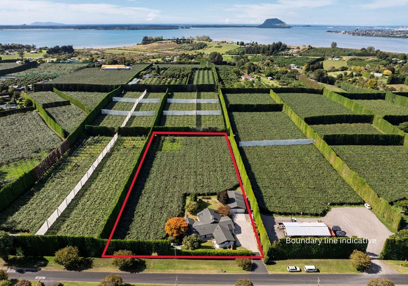 13 James Road, Tauranga - Carousel 2