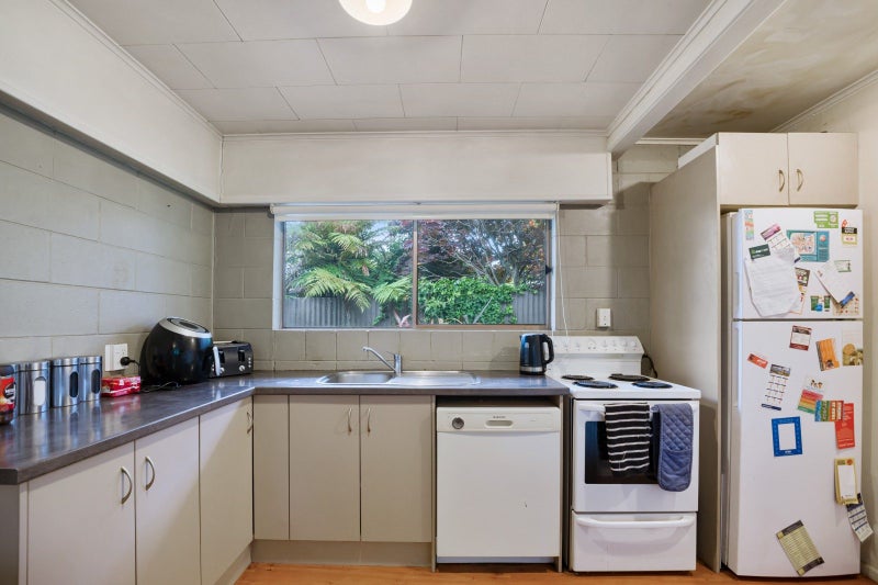 24B Tamaki Street, Ngongotaha, Rotorua - Carousel 1