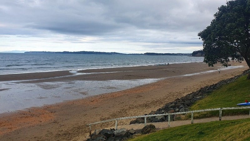 24 Walton Street, Red Beach, Whangaparāoa - Carousel 13