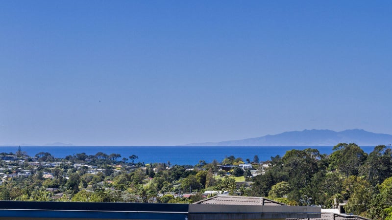 2/133 CARLISLE RD, Northcross, Auckland - Carousel 1