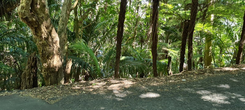 69 Trig Hill Road, Onetangi, Waiheke Island - Carousel 2