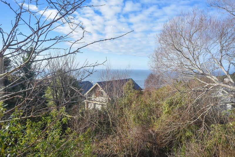 37 Aberdeen Road, Saint Clair, Dunedin - Carousel 1