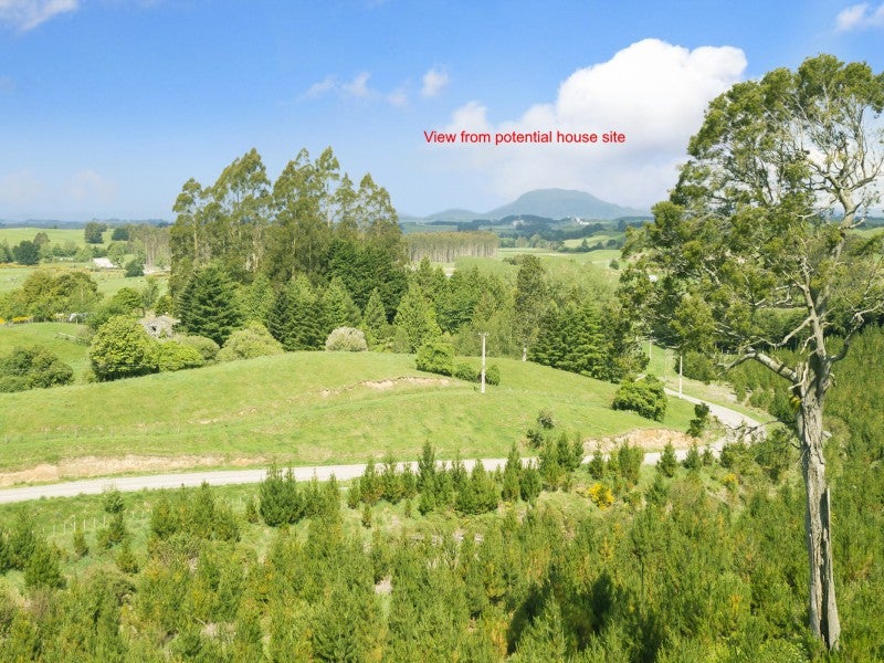 67 Tangye Road, Oruanui - Carousel 1