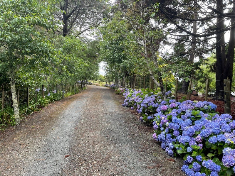 156 Elmore Road, LUCAS HEIGHTS, AUCKLAND - Carousel 2