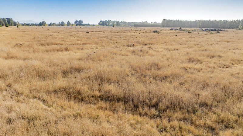 276 Isaac Road, Eyrewell, West Eyreton - Carousel 8